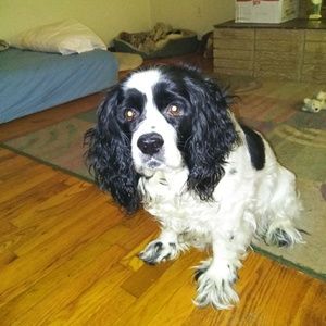 Meet your Posher, Denise